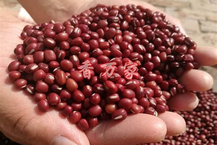 莴笋哪种温度可以抽苔？在什么情况下种植最好？