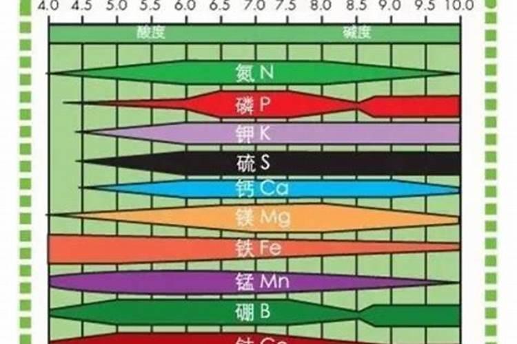罗汉果病毒病症状与防治方法