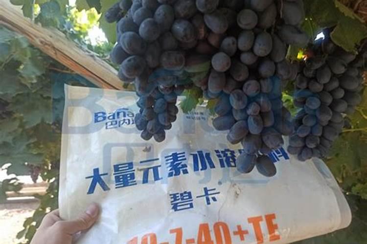 水溶肥和复合肥哪个好