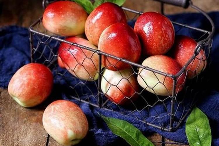 果树施硼肥怎么操作？果树施硼肥有什么用？