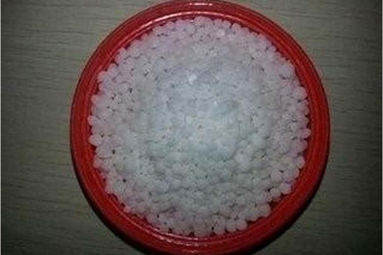 草莓栽培技术