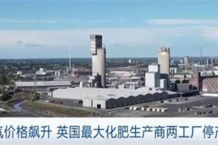 月季如何施磷酸二氢钾