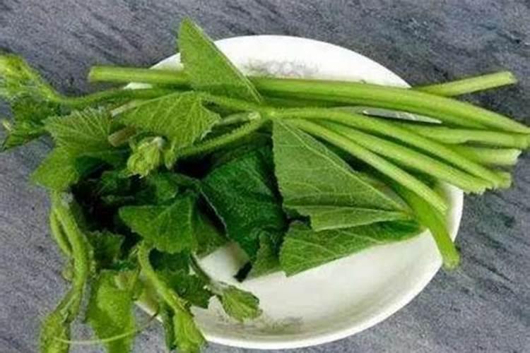 南瓜种植如何实现高产