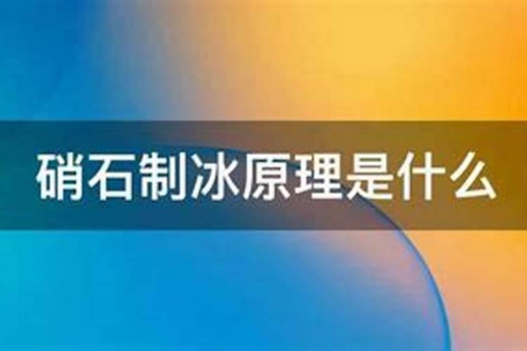 如何种植黑豆