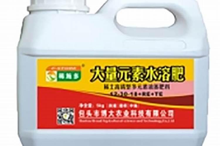 九里香多久开花一次