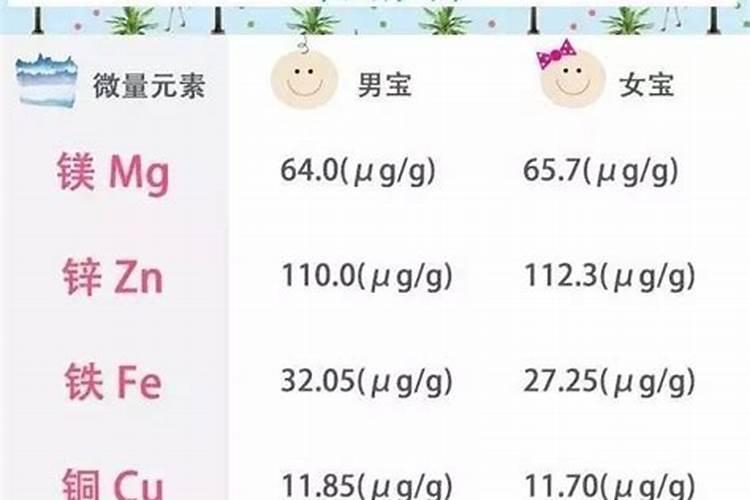 冬天吃什么主食好 6种主食不容错过