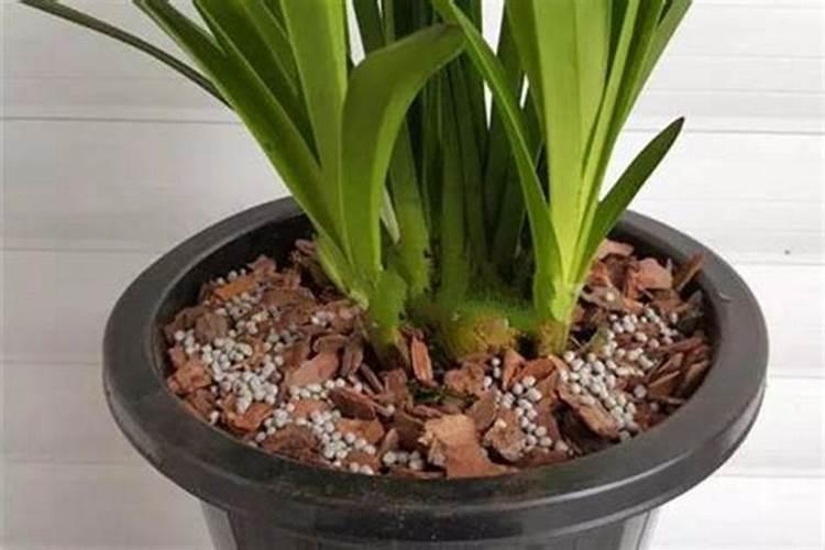 广东有大棚蔬菜种植基地吗？