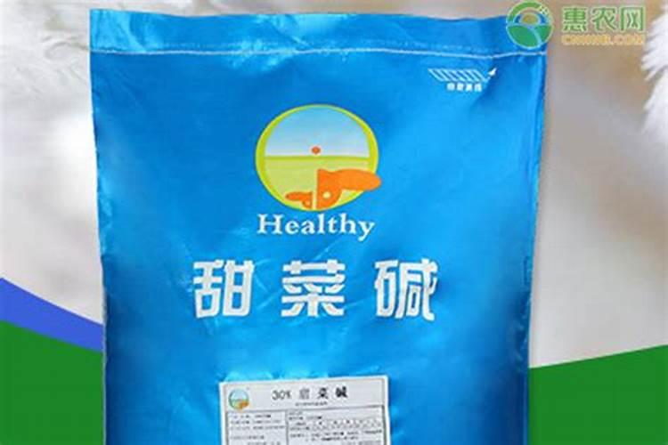 杨梅喷什么药能使果实变大
