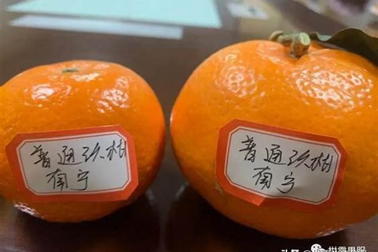 用赤霉素好还是磷酸二氢钾好