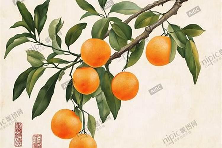 砂糖橘用什么肥料好