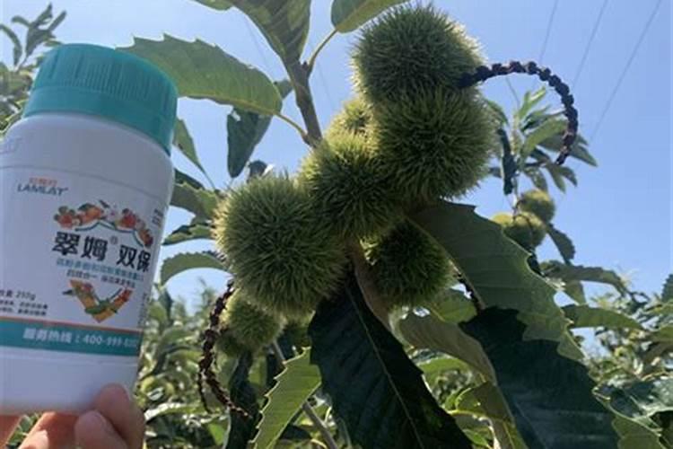 罗布泊钾肥中的罗布泊牌硫酸钾是哪个公司生产的？