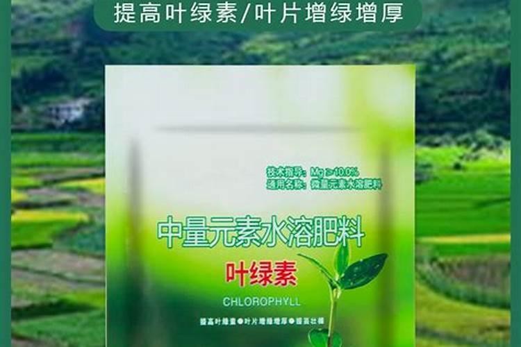 叶绿素水溶肥对人体有害吗