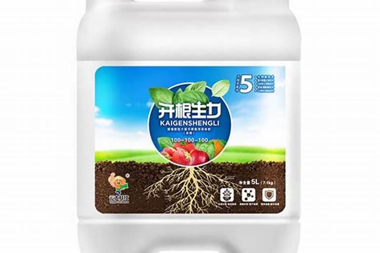 月季的扦插,石榴的压条