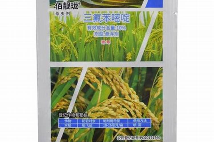 柑橘开花的时候该选择什么样的肥料来用