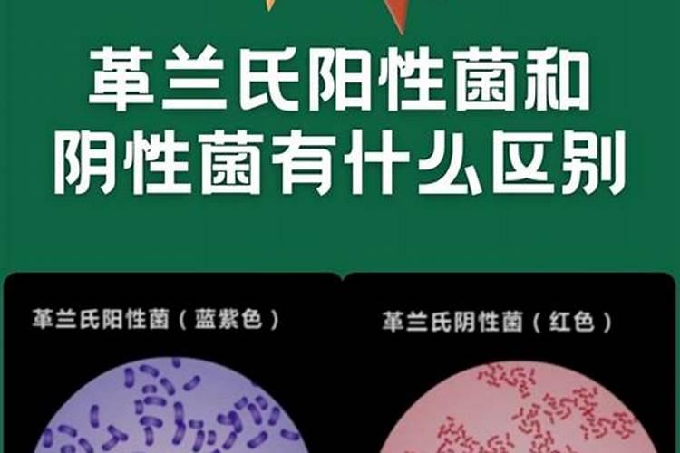 净化水养鱼的最佳方法是