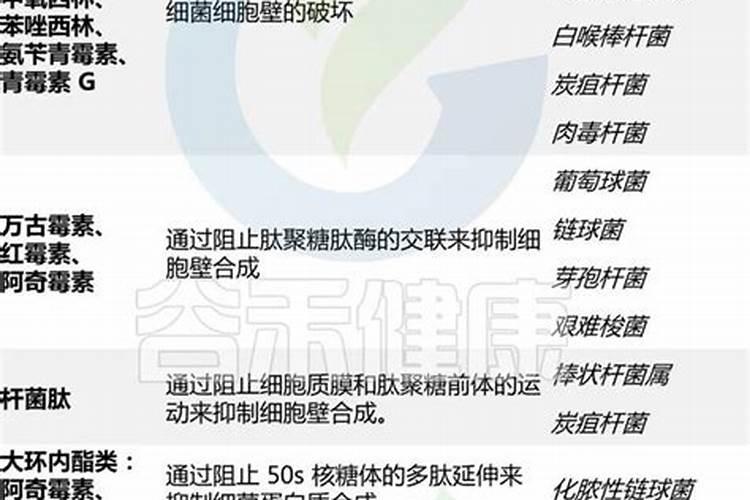 谁知道固坡效果好的草？