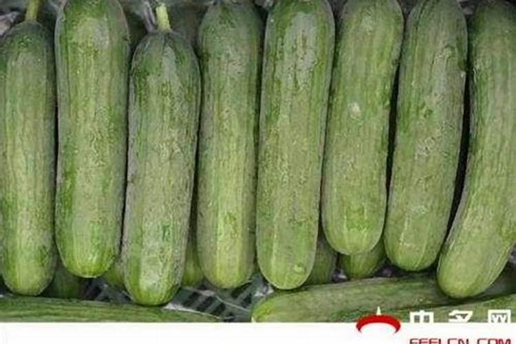 春夏季草皮施什么肥料