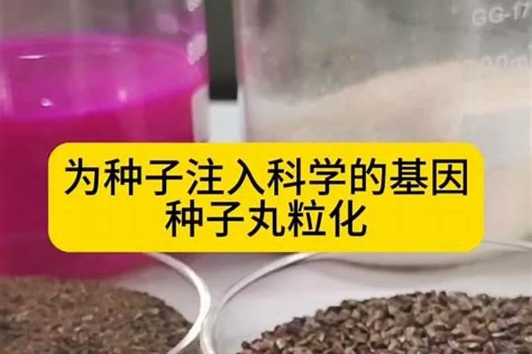紫薇花施什么肥