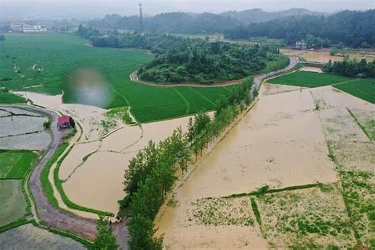 水田淹水期 不适用哪种氮肥