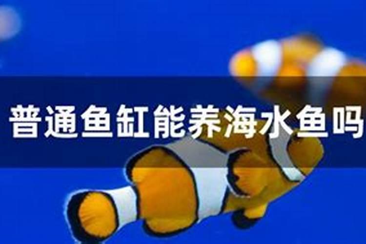 如何才能让鱼缸长出青苔