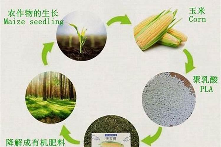 氮肥高了怎么处理