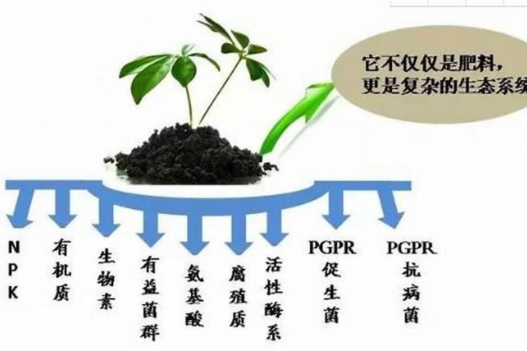 水稻氮肥过多该怎么办