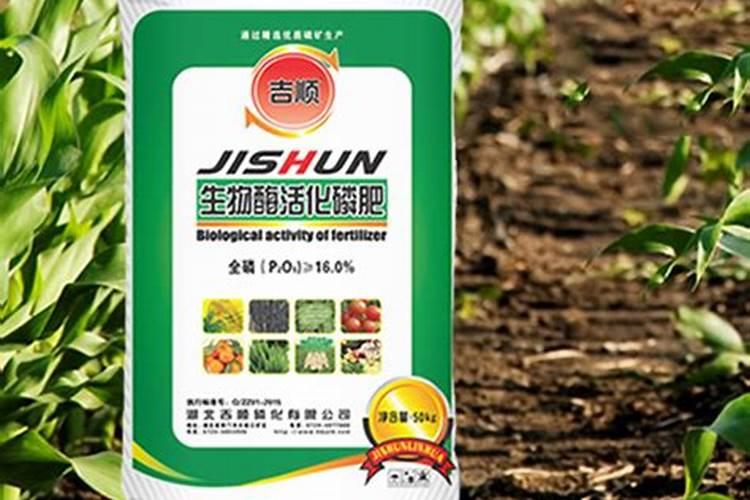 长效磷肥基本定义