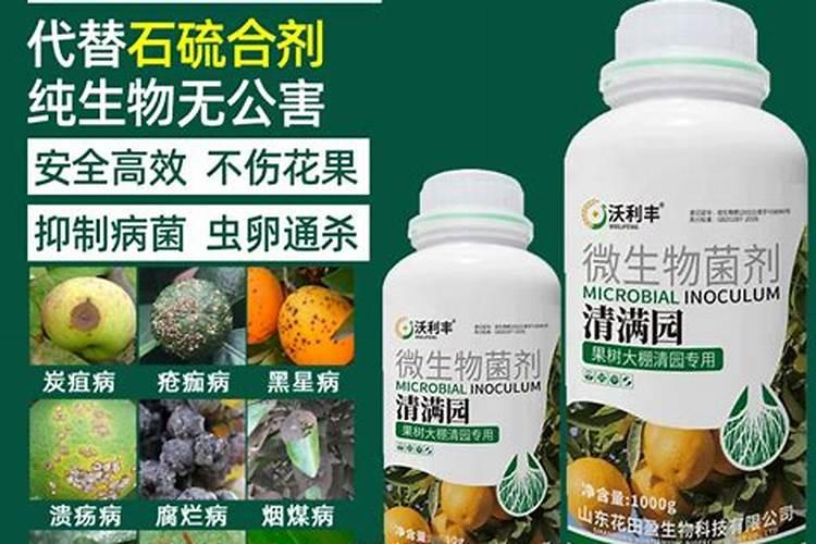 樱桃花期喷什么药坐果