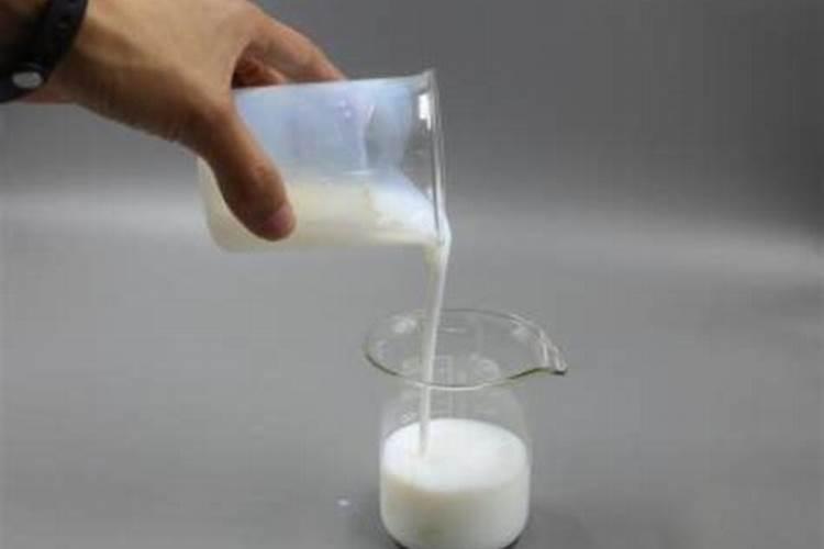 野生地皮菜怎么出来的