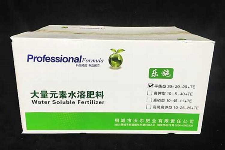 怎样种植豆角可以获得高产量？