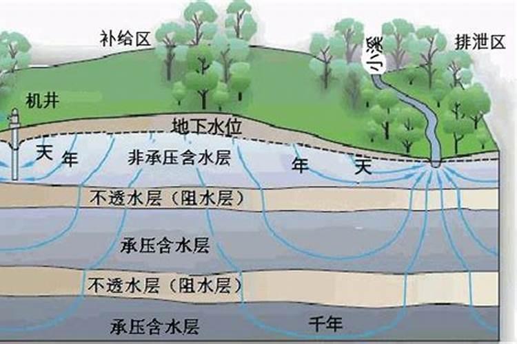 什么肥料能促长植物的根