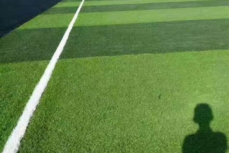 草坪专用肥洒上几天可以撒种子