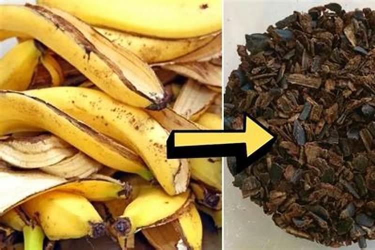 香蕉埋在土里可以做肥料吗