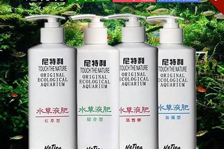 建兰红草红荷一年开几次花