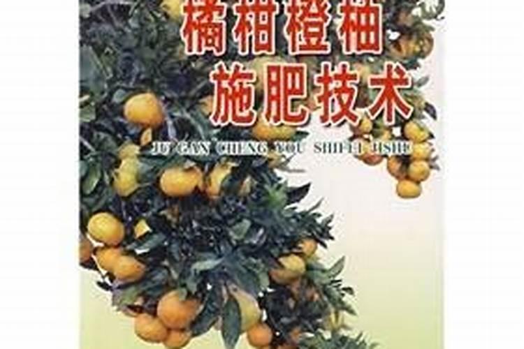 桔柚栽培技术