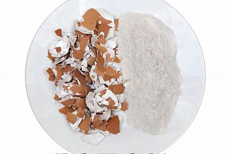 君子兰花需要上啥肥