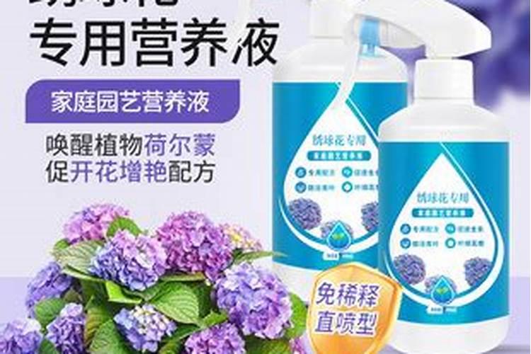 绣球花怎么施肥,绣球花的施肥方法