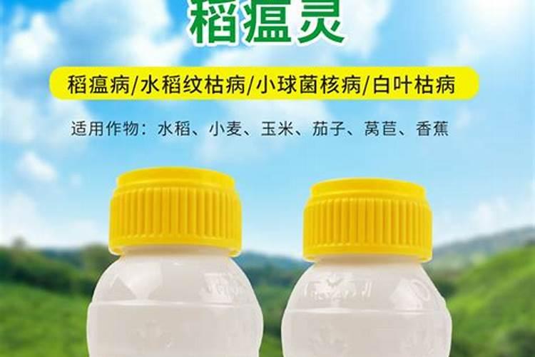 乌塌菜几月份种最好