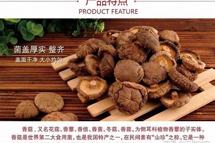 大球盖菇的功效与作用