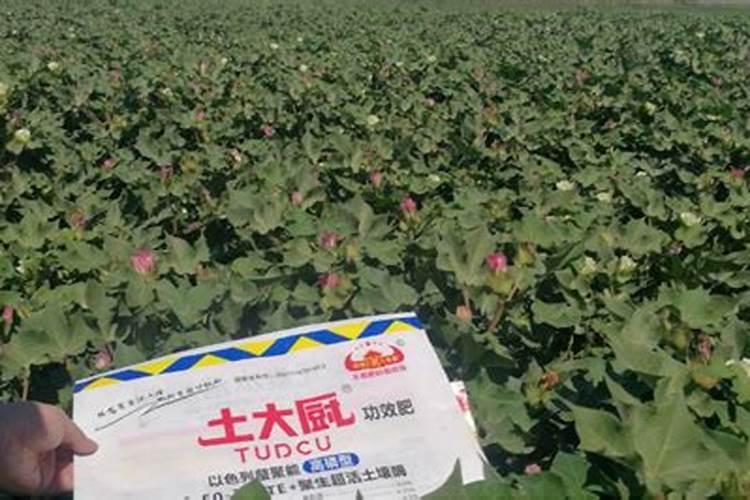 锌肥的作用及使用方法 锌肥的作用和使用方法