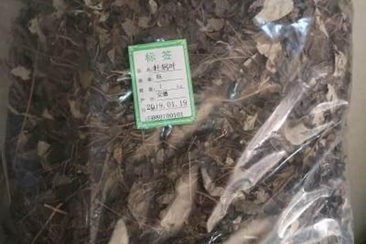 什么花该浇什么肥料.