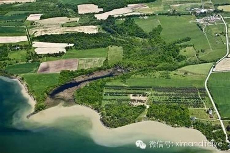 种植黄瓜磷过剩怎么办？