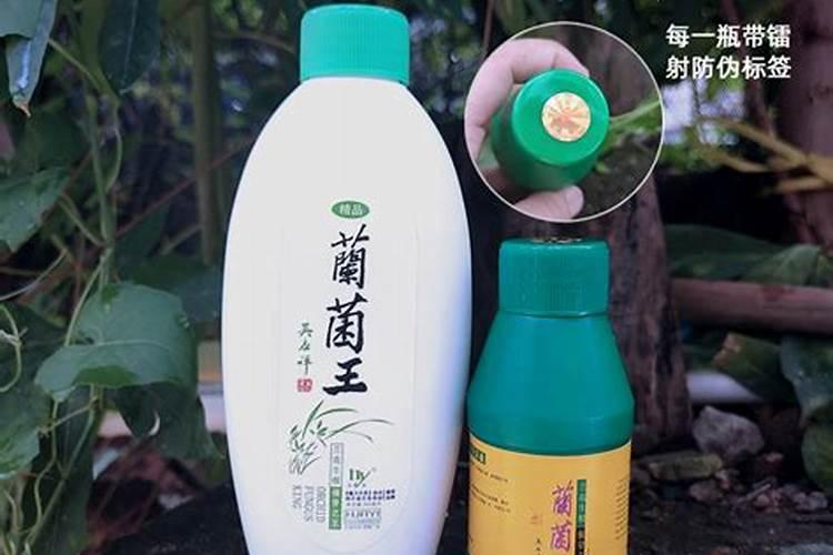 有机肥能用来栽兰花吗？