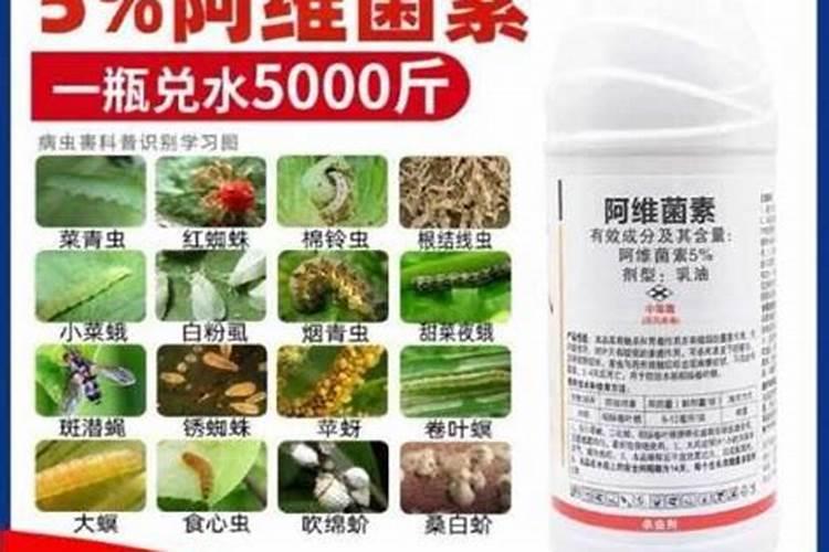 荞麦适宜什么土地生长