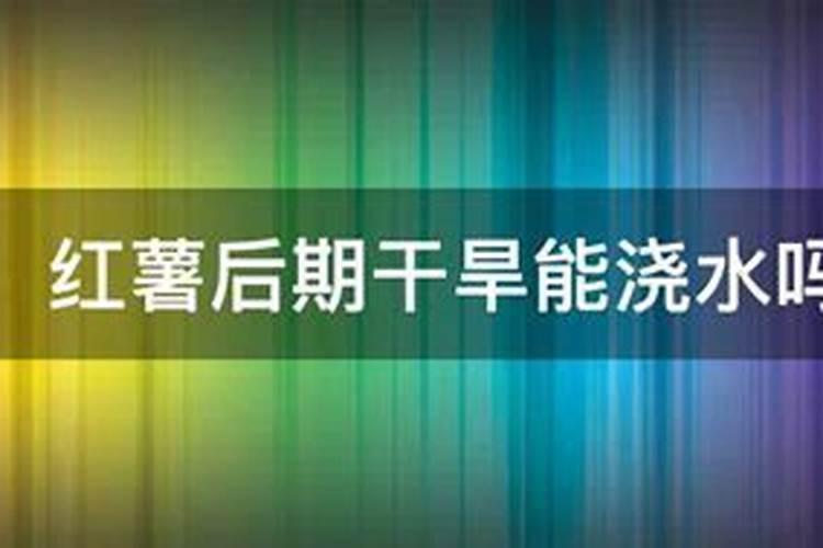 红薯施用哪种肥料效果最佳