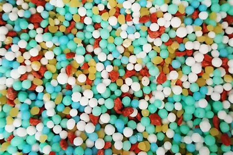 西红柿的种植用什么肥料好