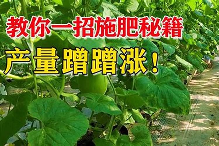 硫酸钾型复合肥适用于什么土地