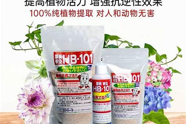 玉米追肥用尿素好还是用磷钾肥好