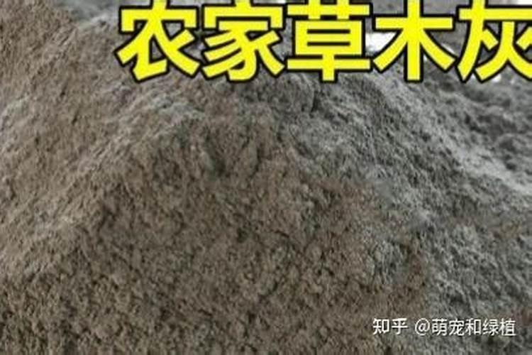 黄腐酸钾水溶肥如何使用？有什么作用？