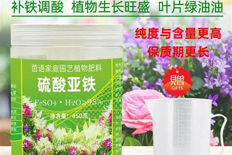 钾肥对哪些花卉好